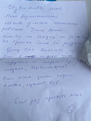Шуйским «Хвостикам» подкинули котят с лишаем
